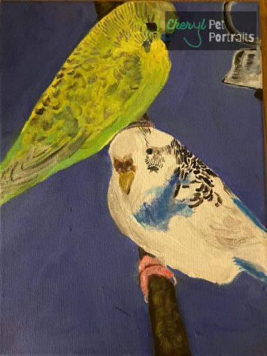A picture of painting of budgies by Cheryl Evans