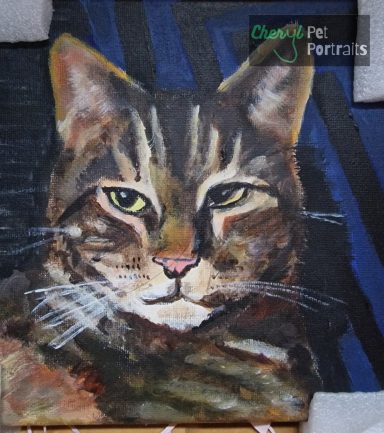 Painting of a tabby cat by Cheryl Evans