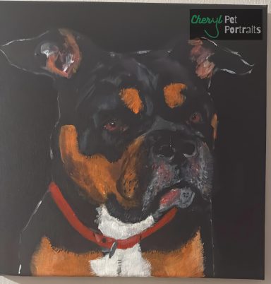 A picture of a painting of Dave the pocket bully by Cheryl Evans