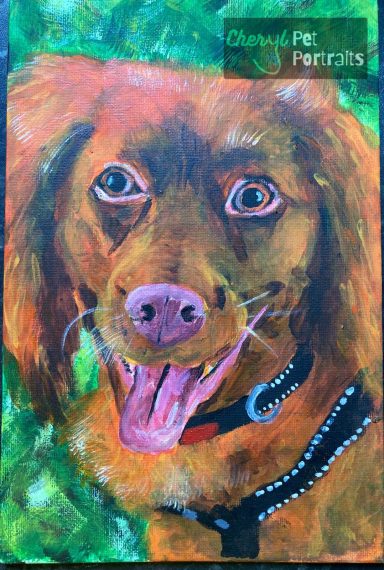 A photo of a portrait of Cookie the dog by Cheryl Evans